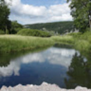 Meet your Posher, Brigitte